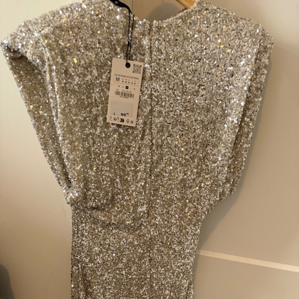Zara dress